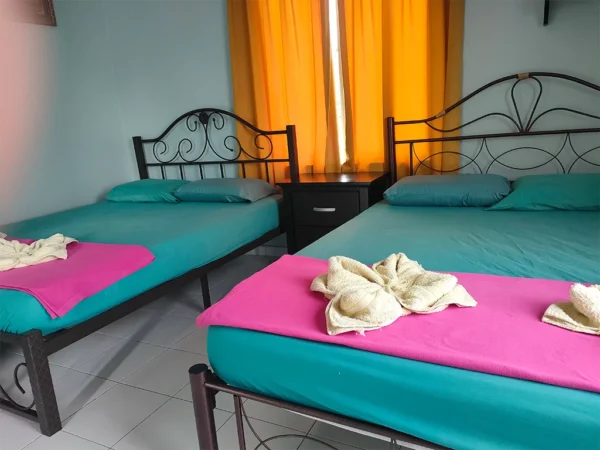 Superior Room - Image 6